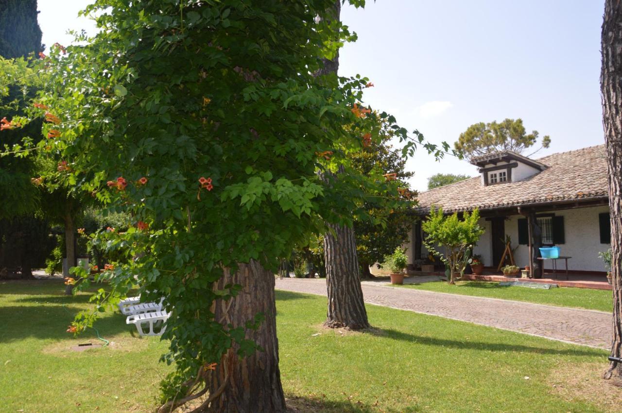 B&B Villa Lupidi Corridonia Exterior photo