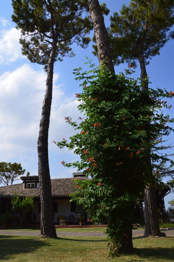 B&B Villa Lupidi Corridonia Exterior photo