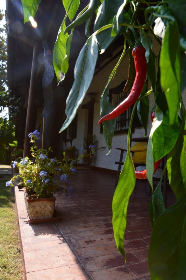 B&B Villa Lupidi Corridonia Exterior photo