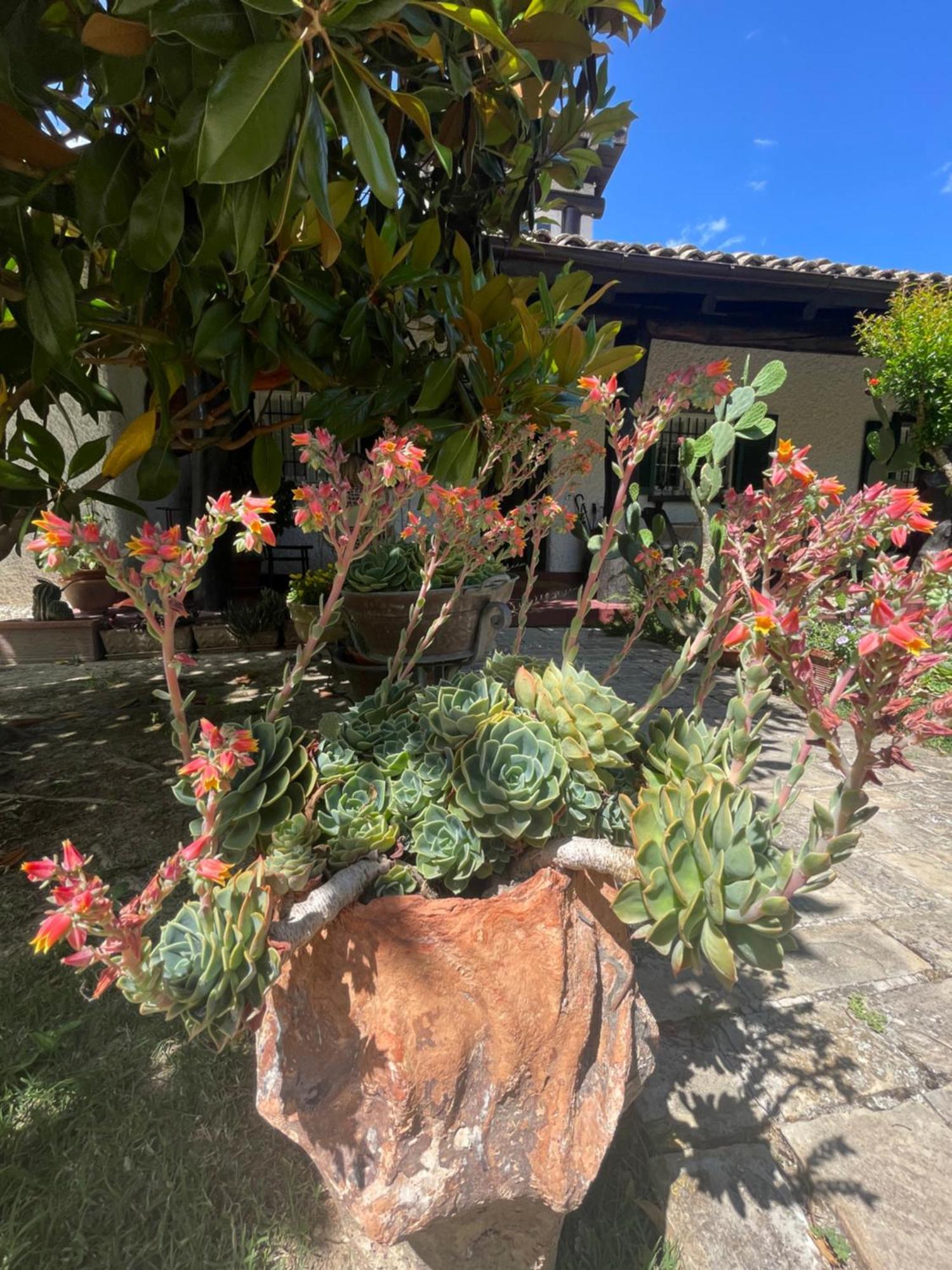 B&B Villa Lupidi Corridonia Exterior photo