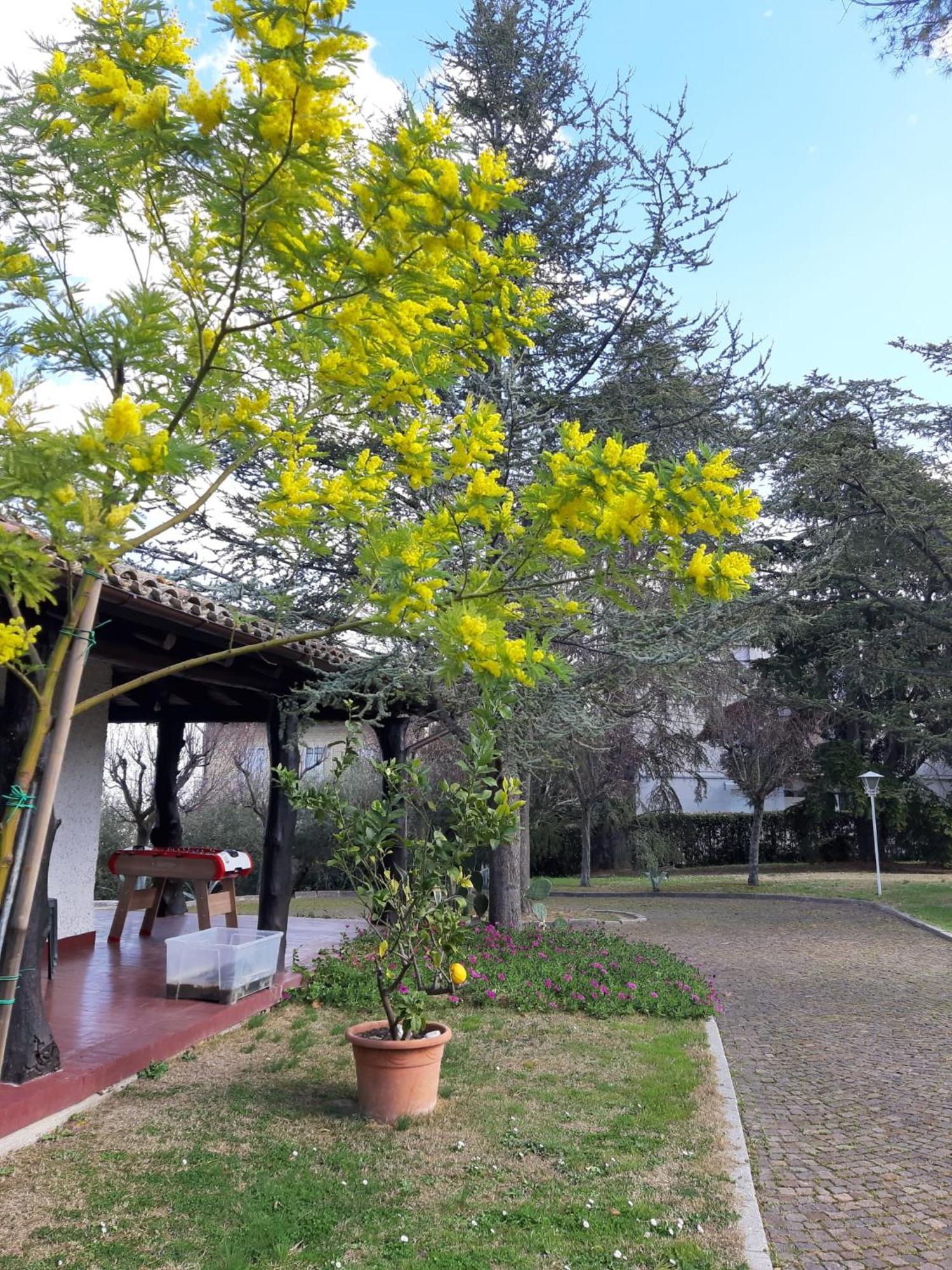B&B Villa Lupidi Corridonia Exterior photo
